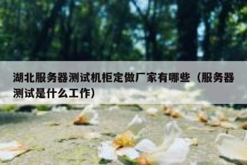 湖北服务器测试机柜定做厂家有哪些（服务器测试是什么工作）