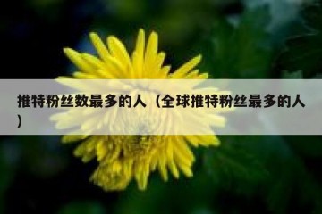 推特粉丝数最多的人（全球推特粉丝最多的人）