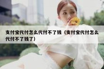 支付宝代付怎么代付不了钱（支付宝代付怎么代付不了钱了）