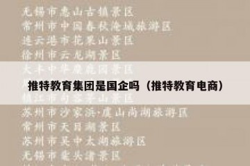 推特教育集团是国企吗（推特教育电商）