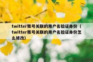 twitter账号关联的用户名验证身份（twitter账号关联的用户名验证身份怎么修改）