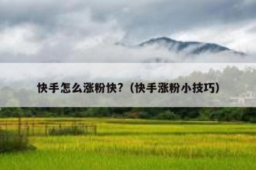 快手怎么涨粉快?（快手涨粉小技巧）