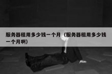 服务器租用多少钱一个月（服务器租用多少钱一个月啊）