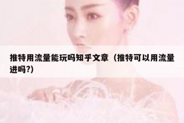 推特用流量能玩吗知乎文章（推特可以用流量进吗?）