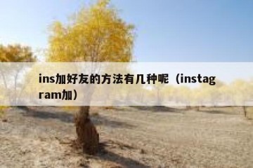 ins加好友的方法有几种呢（instagram加）