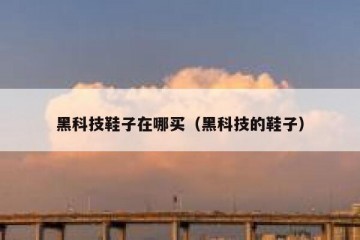 黑科技鞋子在哪买（黑科技的鞋子）