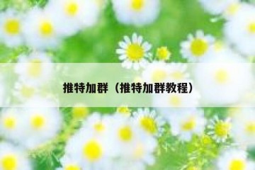 推特加群（推特加群教程）