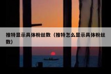 推特显示具体粉丝数（推特怎么显示具体粉丝数）