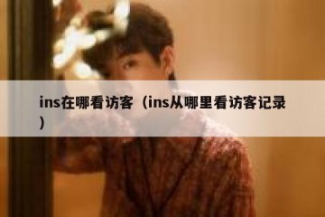 ins在哪看访客（ins从哪里看访客记录）
