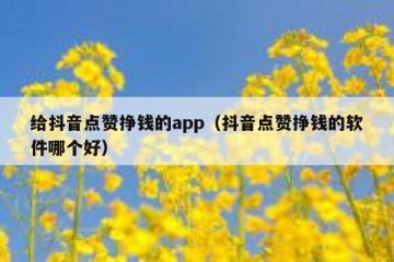 给抖音点赞挣钱的app（抖音点赞挣钱的软件哪个好）