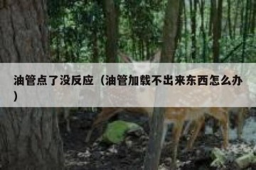 油管点了没反应（油管加载不出来东西怎么办）
