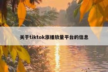 关于tiktok涨播放量平台的信息
