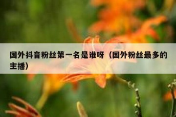 国外抖音粉丝第一名是谁呀（国外粉丝最多的主播）