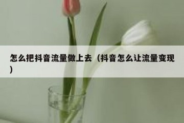 怎么把抖音流量做上去（抖音怎么让流量变现）