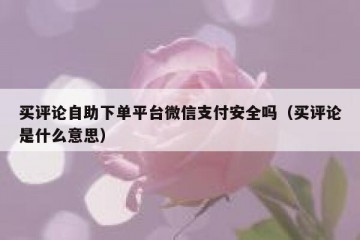 买评论自助下单平台微信支付安全吗（买评论是什么意思）