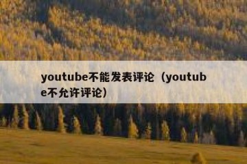 youtube不能发表评论（youtube不允许评论）