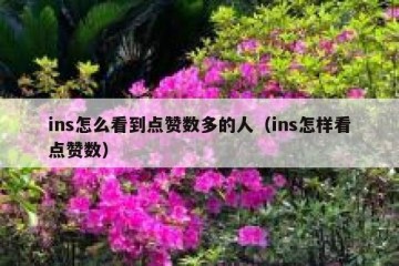 ins怎么看到点赞数多的人（ins怎样看点赞数）