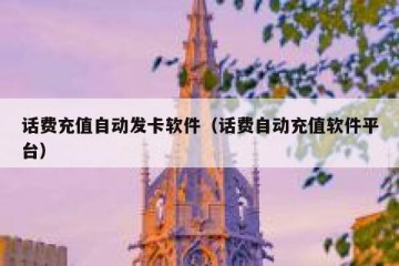 话费充值自动发卡软件（话费自动充值软件平台）
