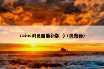 rains浏览器最新版（rr浏览器）