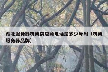 湖北服务器机架供应商电话是多少号码（机架服务器品牌）