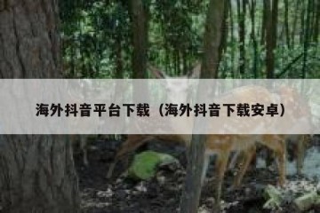 海外抖音平台下载（海外抖音下载安卓）