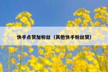 快手点赞加粉丝（其他快手粉丝赞）