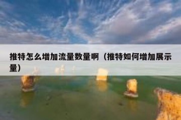 推特怎么增加流量数量啊（推特如何增加展示量）
