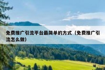 免费推广引流平台最简单的方式（免费推广引流怎么做）