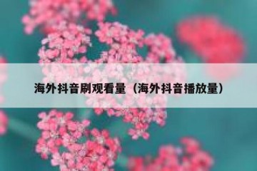 海外抖音刷观看量（海外抖音播放量）