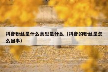 抖音粉丝是什么意思是什么（抖音的粉丝是怎么回事）