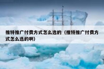 推特推广付费方式怎么选的（推特推广付费方式怎么选的啊）