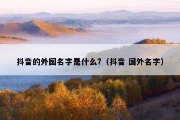 抖音的外国名字是什么?（抖音 国外名字）