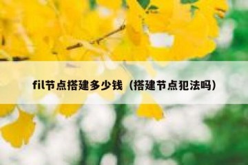 fil节点搭建多少钱（搭建节点犯法吗）