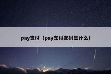 pay支付（pay支付密码是什么）