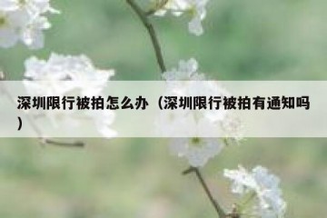 深圳限行被拍怎么办（深圳限行被拍有通知吗）