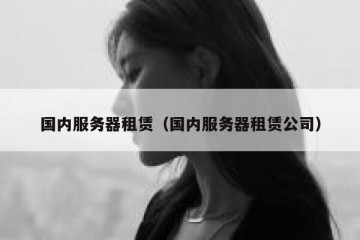 国内服务器租赁（国内服务器租赁公司）