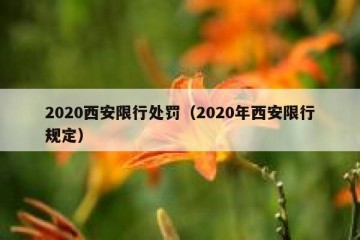 2020西安限行处罚（2020年西安限行规定）