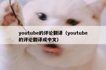 youtube的评论翻译（youtube的评论翻译成中文）