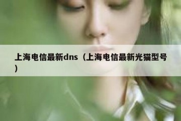 上海电信最新dns（上海电信最新光猫型号）