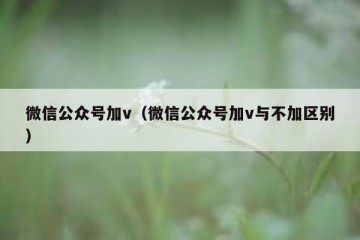微信公众号加v（微信公众号加v与不加区别）