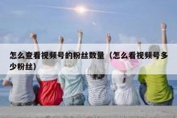怎么查看视频号的粉丝数量（怎么看视频号多少粉丝）