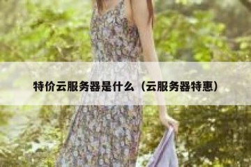 特价云服务器是什么（云服务器特惠）