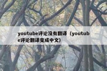 youtube评论没有翻译（youtube评论翻译变成中文）