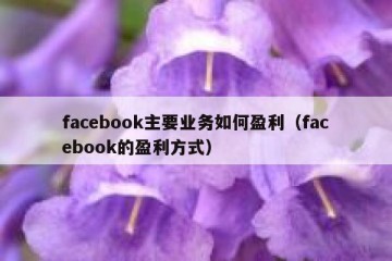 facebook主要业务如何盈利（facebook的盈利方式）