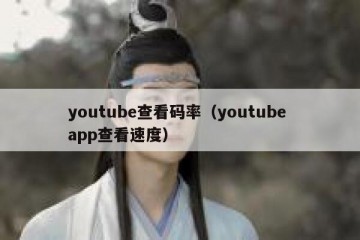 youtube查看码率（youtube app查看速度）