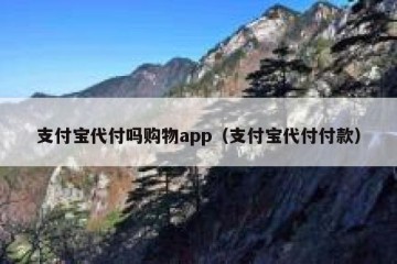 支付宝代付吗购物app（支付宝代付付款）