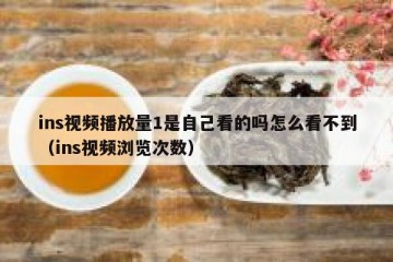 ins视频播放量1是自己看的吗怎么看不到（ins视频浏览次数）