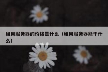 租用服务器的价格是什么（租用服务器能干什么）