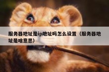 服务器地址是ip地址吗怎么设置（服务器地址是啥意思）