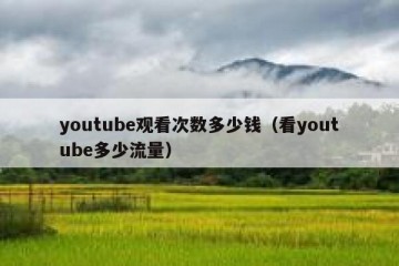 youtube观看次数多少钱（看youtube多少流量）